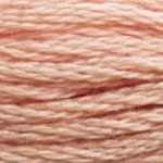 DMC Embroidery Floss (f) 3770 thru B5200