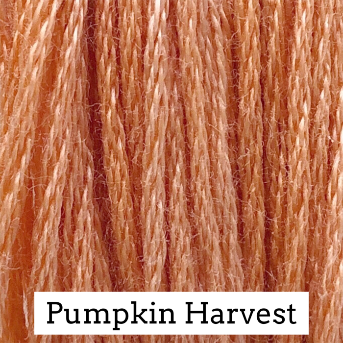 Classic Colorworks Embroidery Floss - Floss Pine Needles thru Zach Black