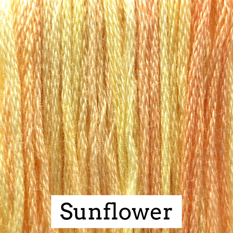 Classic Colorworks Embroidery Floss - Floss Pine Needles thru Zach Black