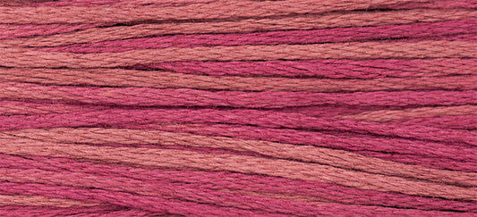 Raspberry Weeks Dye Works Embroidery Floss