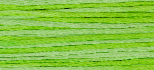 Chartreuse Weeks Dye Works Embroidery Floss