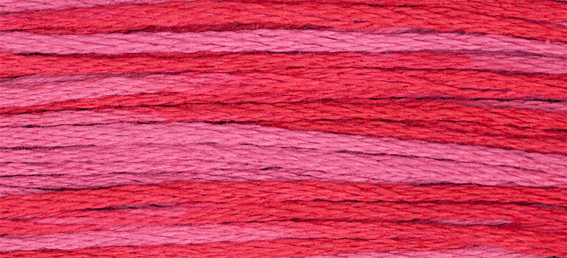 Begonia Weeks Dye Works Embroidery Floss