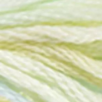 DMC Embroidery Floss Color Variations 4000 thru 4265