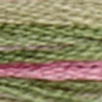 DMC Coloris #4500