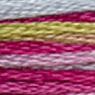 DMC Embroidery Floss Coloris 4500 thru 4523
