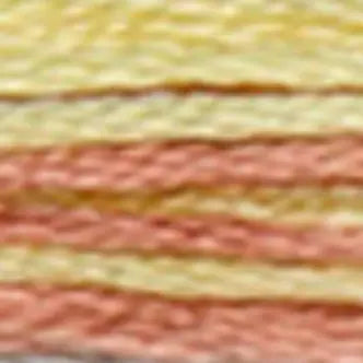 DMC Embroidery Floss Coloris 4500 thru 4523