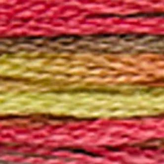 DMC Embroidery Floss Coloris 4500 thru 4523