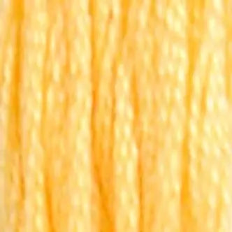 DMC Embroidery Floss (a) 01 thru 225