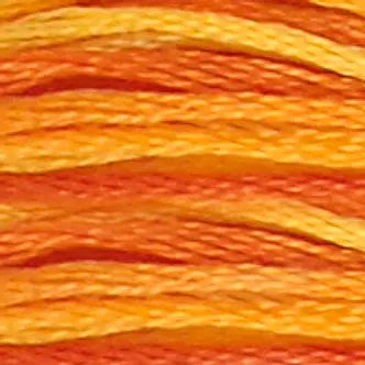 DMC Variegated Embroidery #51