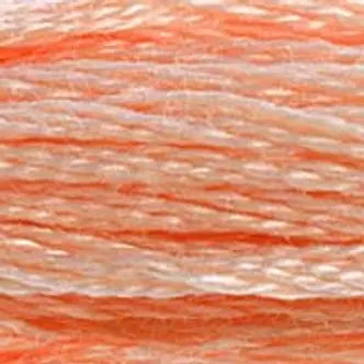DMC Embroidery Floss (b) 300 thru 598