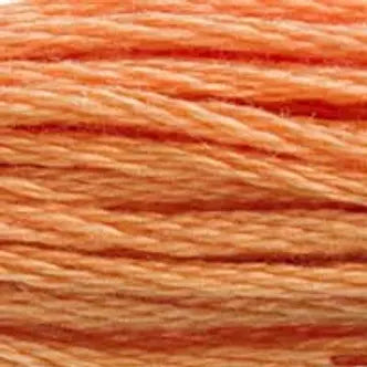 DMC Embroidery Floss (b) 300 thru 598