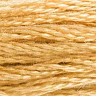 DMC Embroidery Floss (b) 300 thru 598