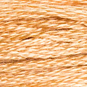 DMC Embroidery Floss (b) 300 thru 598