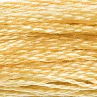 DMC Embroidery Floss (c) 600 thru 799