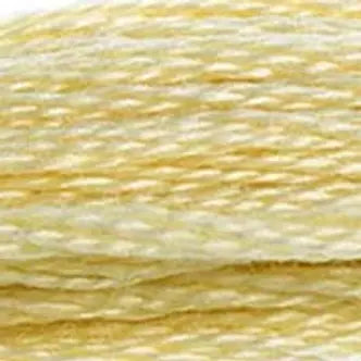 DMC Embroidery Floss (c) 600 thru 799