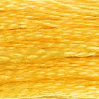 DMC Embroidery Floss (c) 600 thru 799