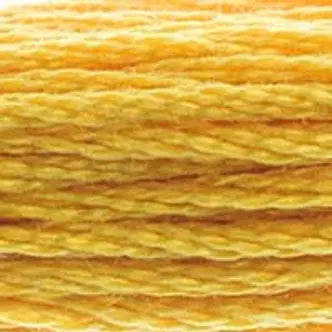 DMC Embroidery Floss (c) 600 thru 799