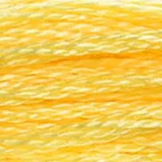 DMC Embroidery Floss (c) 600 thru 799