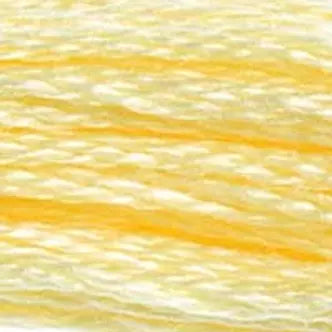 DMC Embroidery Floss (c) 600 thru 799