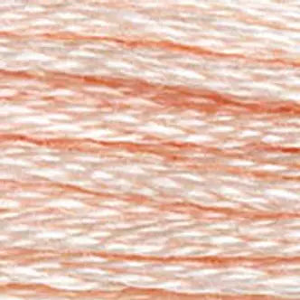 DMC Embroidery Floss (d) 800 thru 950
