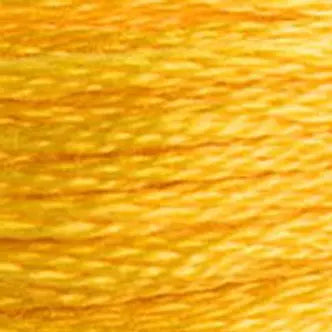 DMC Embroidery Floss (e) 951 thru 3768