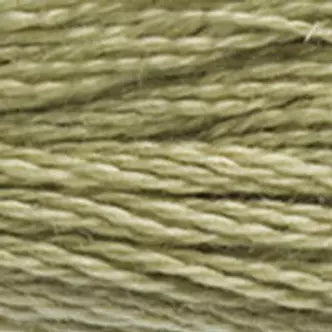 DMC Embroidery #3013