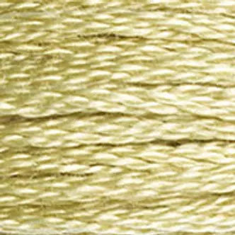 DMC Embroidery Floss (e) 951 thru 3768