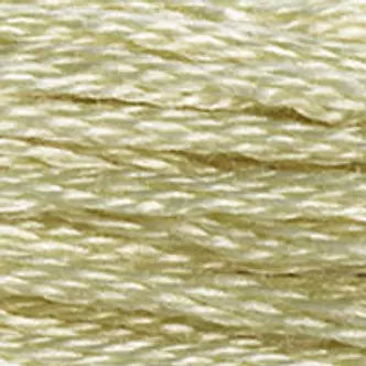 DMC Embroidery Floss (e) 951 thru 3768