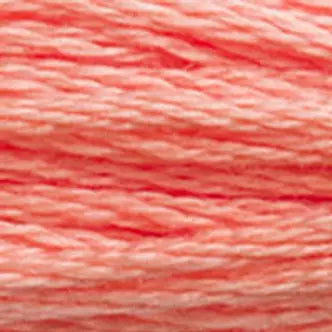 DMC Embroidery Floss (e) 951 thru 3768