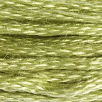 DMC Embroidery Floss (e) 951 thru 3768