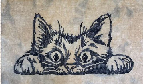 Curious Simon by Keslyn’s