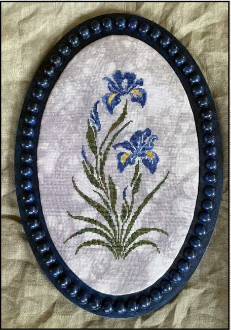 Blue Iris by Keslyn’s