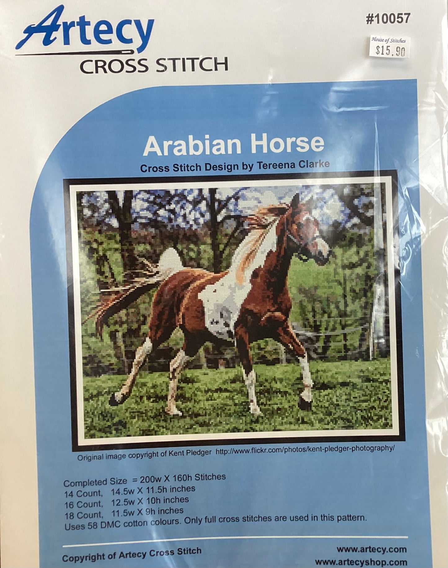 Arabian Horse by Artecy Cross Stitch