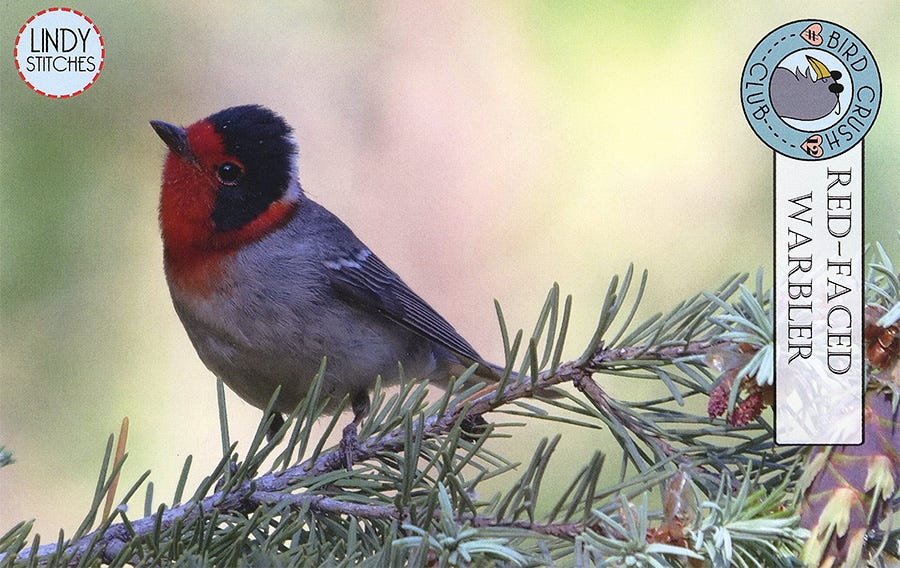 Red-Faced Warbler by Lindy Stitch