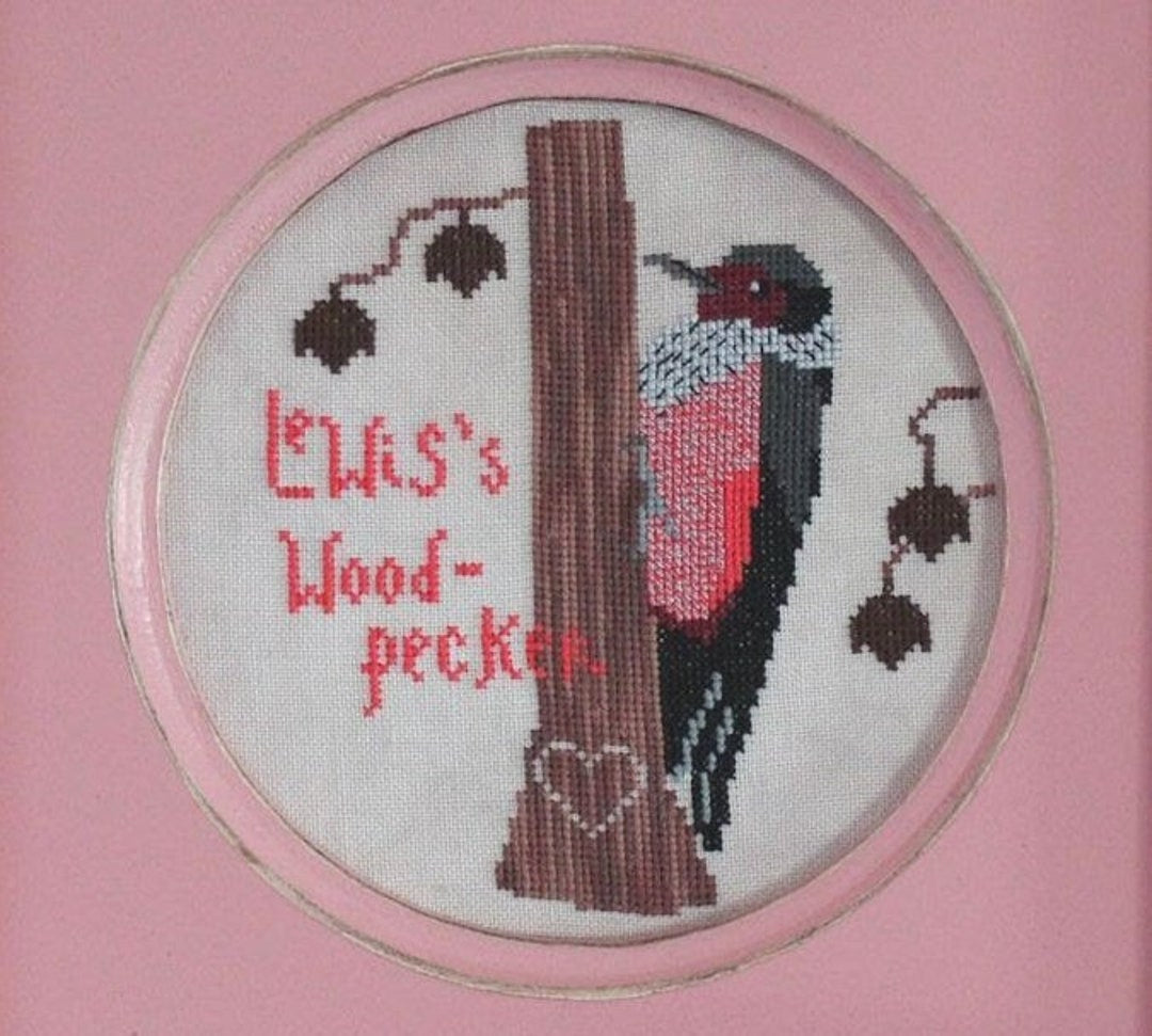 Lewis’s Woodpecker by Lindy Stitches
