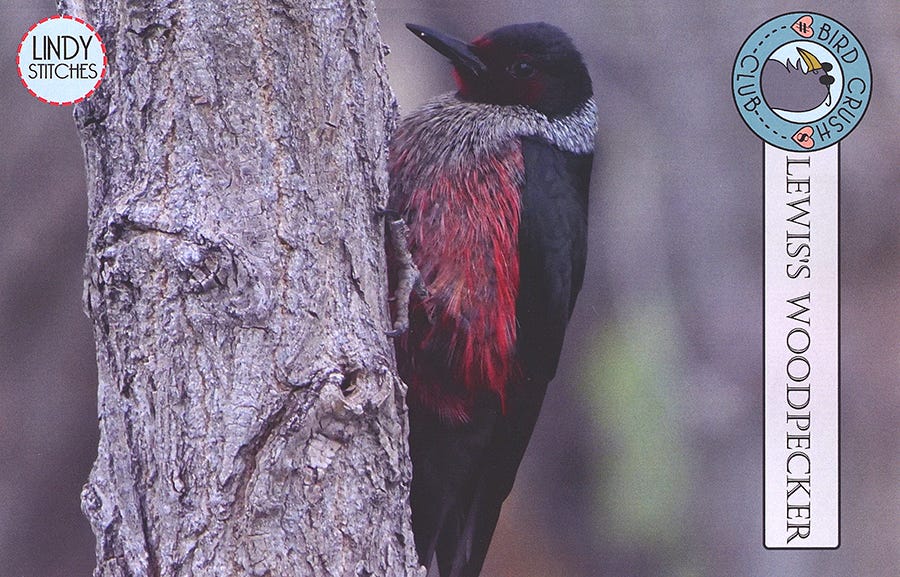Lewis’s Woodpecker by Lindy Stitches