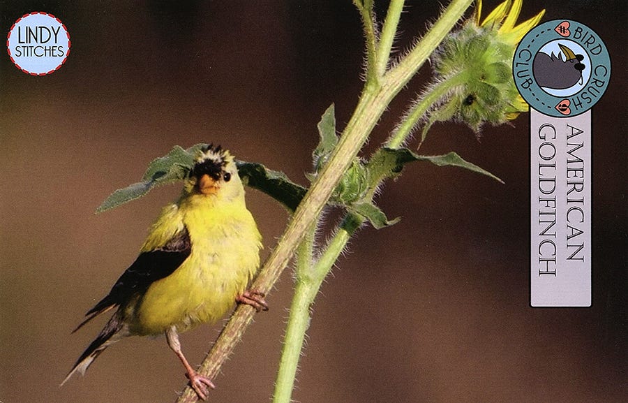 American Goldfinch by Lindy Stitches