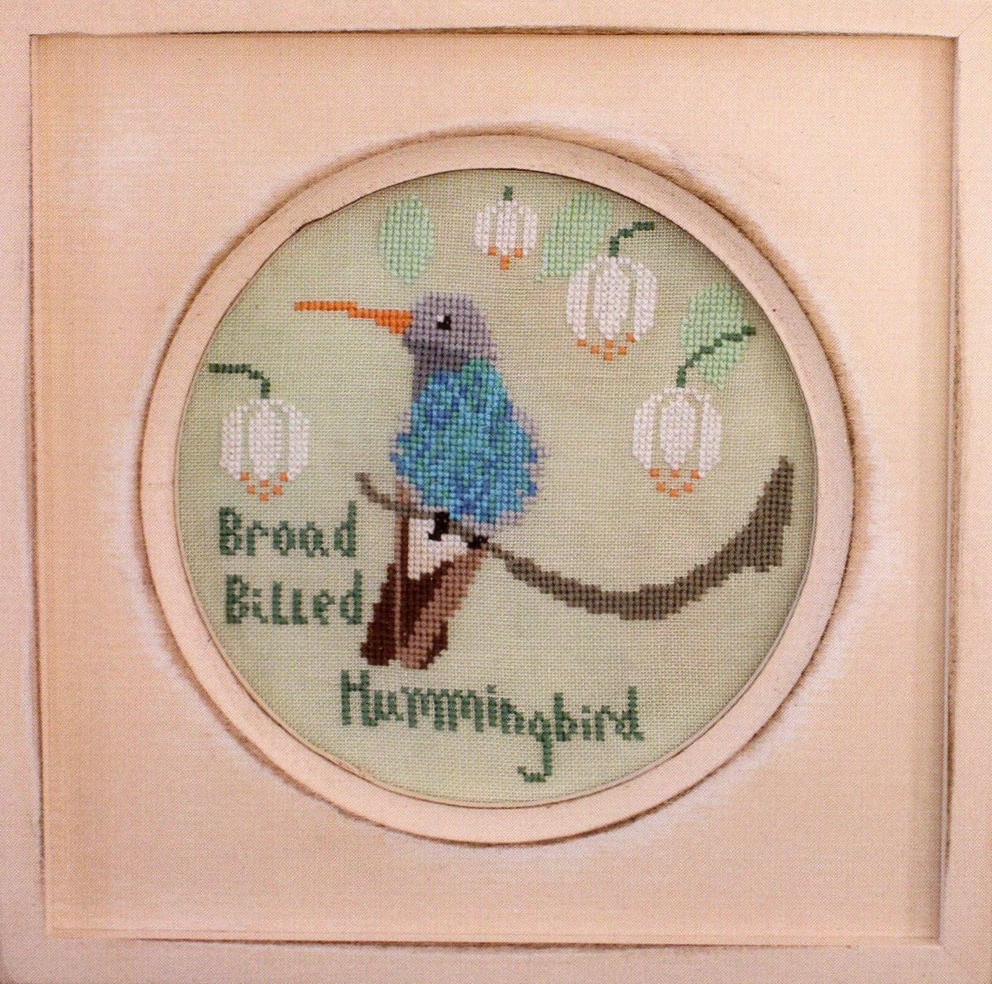 Broad Billed Hummingbird by Lindy Stitches