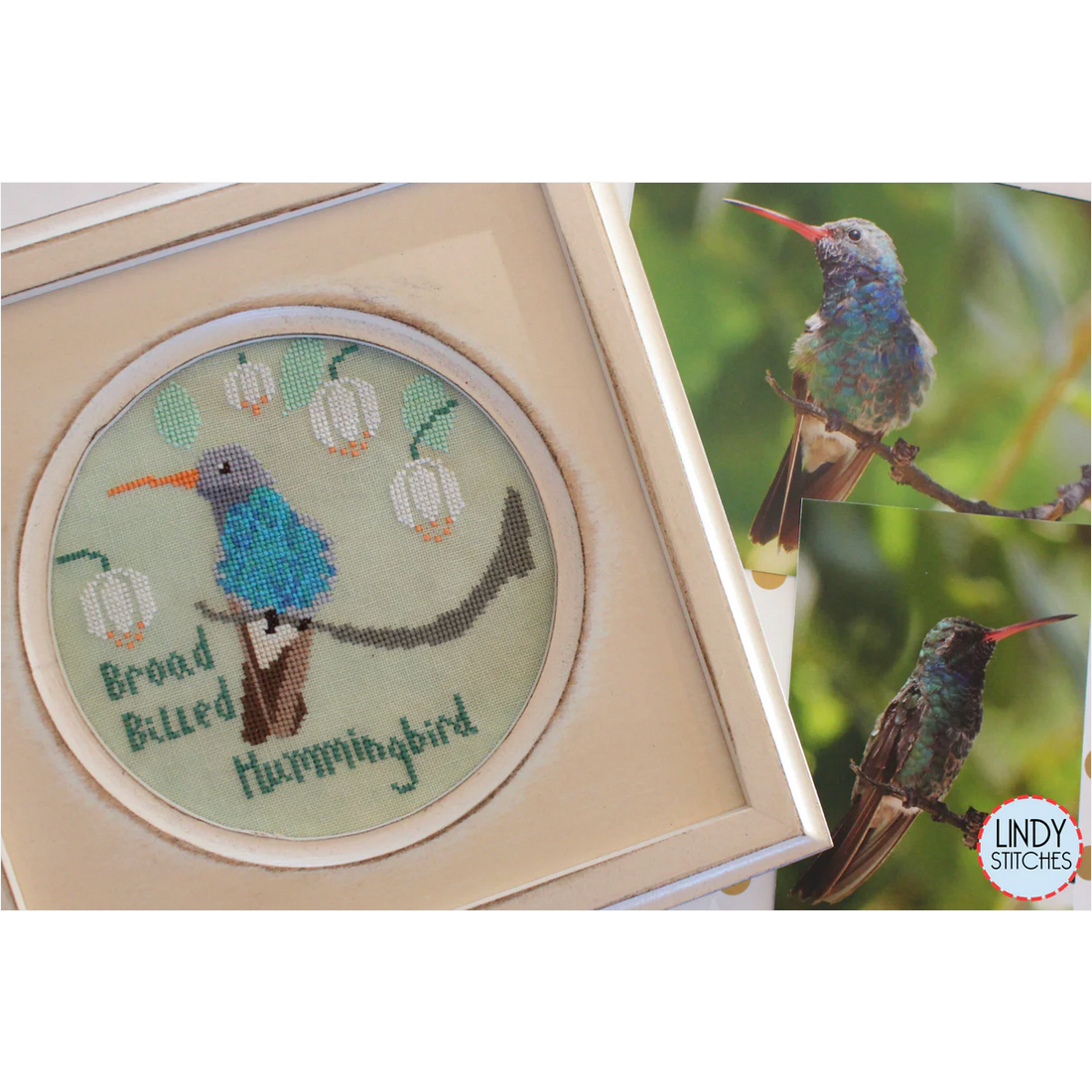Broad Billed Hummingbird by Lindy Stitches