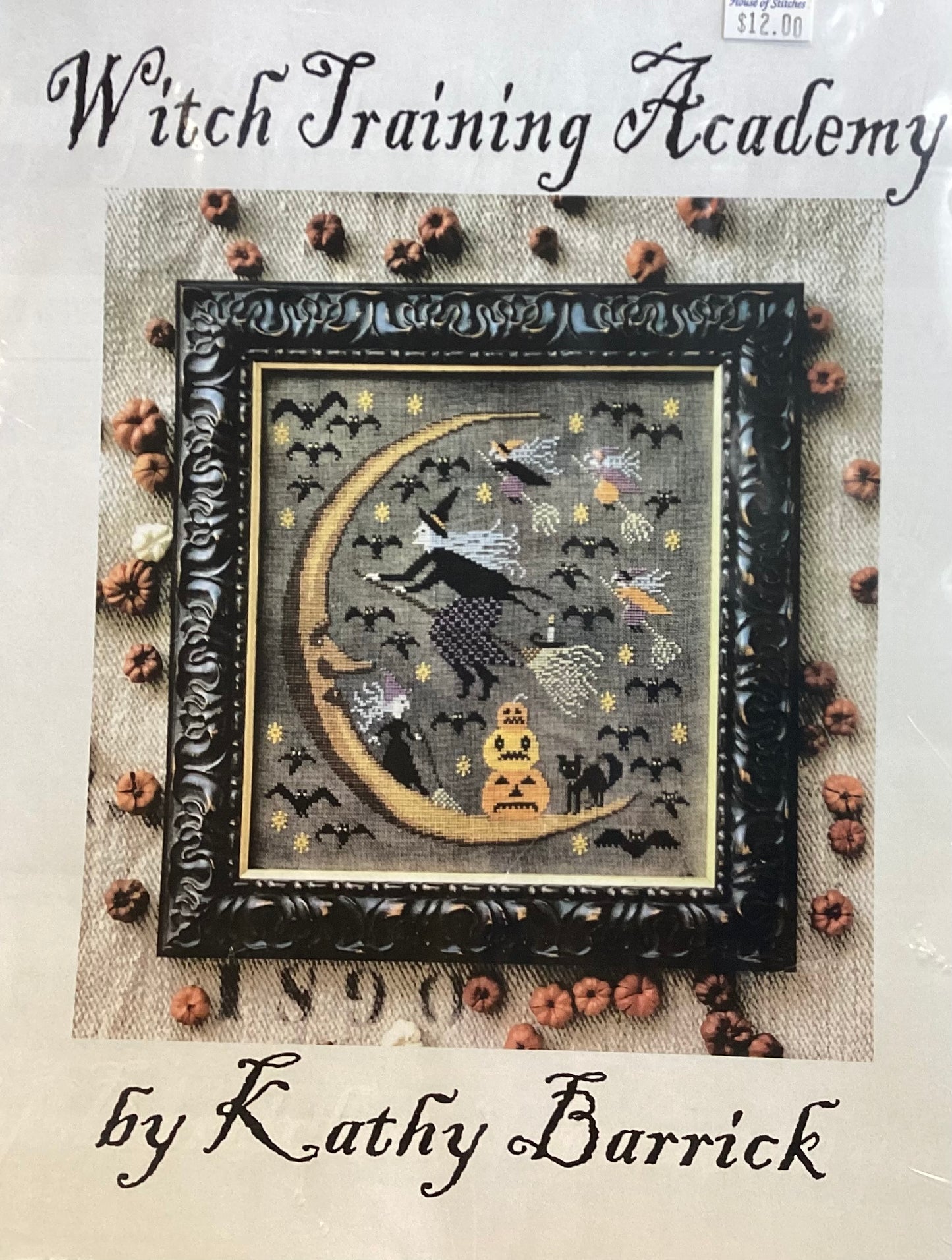 Witch Training Academy by Kathy Barrick