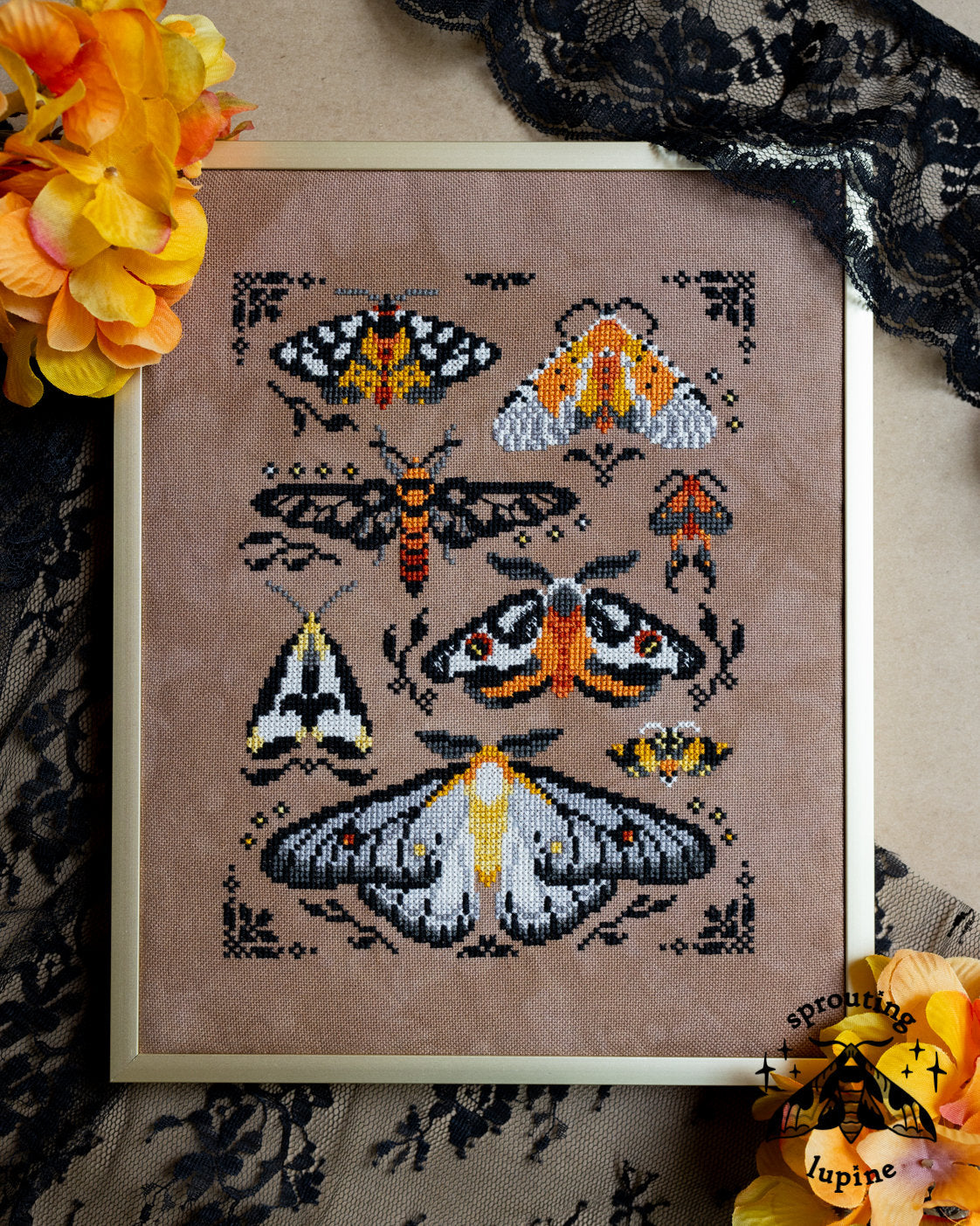 PREORDER! Ochre Wings by Sprouting Lupine