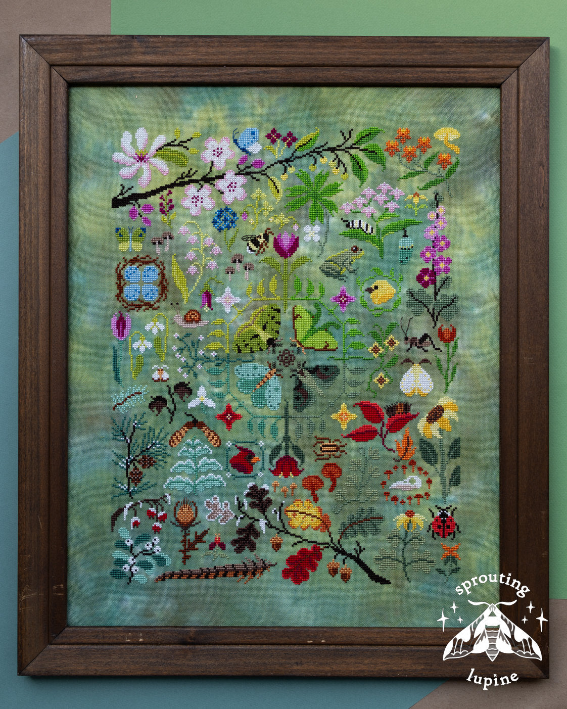PREORDER! Nature’s Journey by Sprouting Lupine