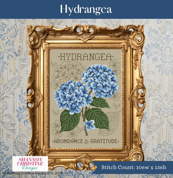 Hydrangea by Shannon Christine Designs