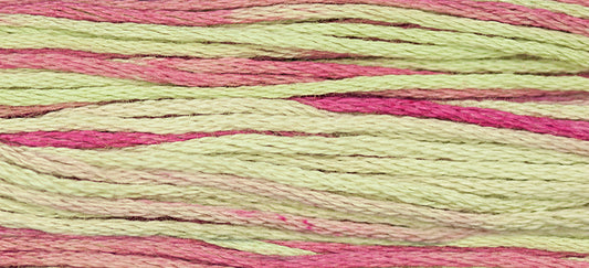 Coleus Weeks Dye Works Embroidery Floss