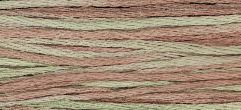 Saltwater Taffy Weeks Dye Works Embroidery Floss