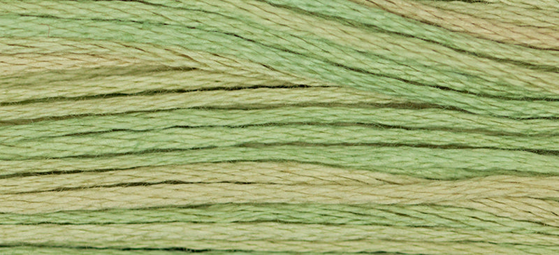 Butter Bean Weeks Dye Works Embroidery Floss