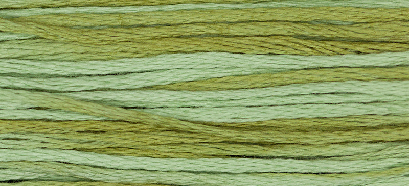 Dried Sage Weeks Dye Works Embroidery Floss