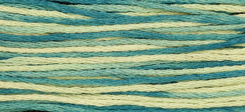 Eucalyptus Weeks Dye Works Embroidery Floss