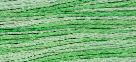 Cactus Weeks Dye Works Embroidery Floss