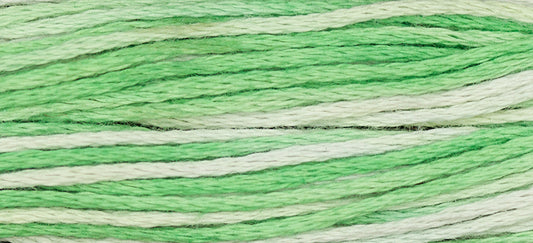 Iceberg Weeks Dye Works Embroidery Floss